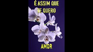 #Shorts "É assim que te quero amor" [Pablo Neruda]