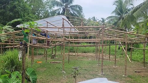 hydroponic greenhouse construction uv plastic roof