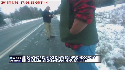 Bodycam video shows Michigan sheriff trying to avoid DUI arrest