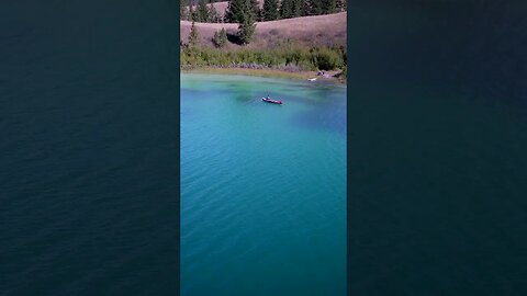 Exploring nature in BC 🎣 🏕 #shorts