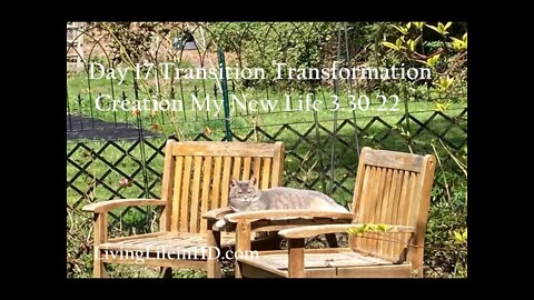 Day 17 Transition Transformation Creation My New Life 3.30.22