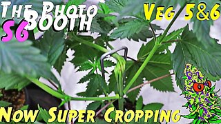 The Photo Booth S6 Ep. 4 | Veg 5 & 6 | And Now Super Cropping