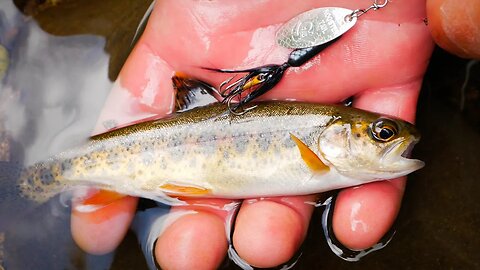 How To FISH Rooster Tails For TROUT In Creeks, Rivers, & Streams.