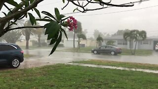 Heavy rain, gusty winds in Lake Park area of Palm Beach County