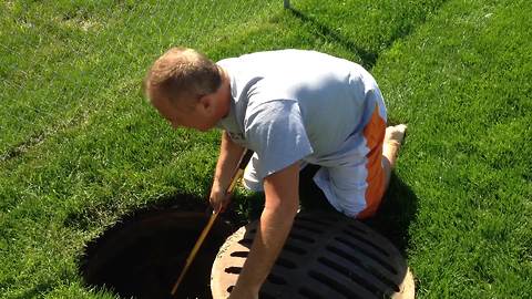 The Man Who Rescued Ducklings From A Sewer Is A Real-Life Hero