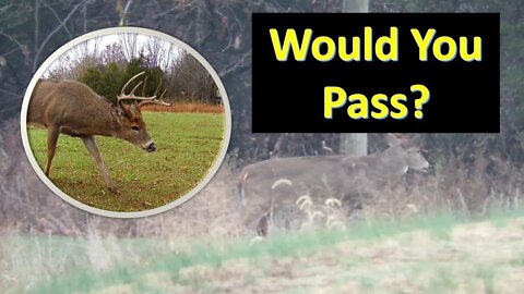 2022 Southern Illinois deer hunting forecast for 2nd shotgun season.