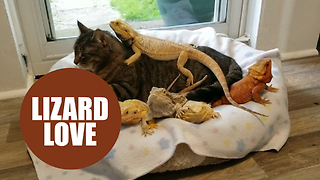 World's most mellow cat spends her days chilling out with a dozen reptiles