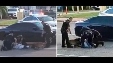 Two cops restrain a man while a dog mauls him.