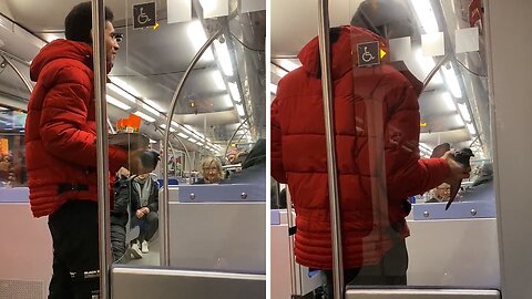 Crazy dude catches pigeon in train while eating food