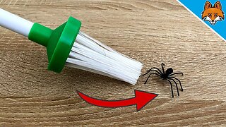 THEREFORE Spiders are NEVER AGAIN a Problem for you 😱 (GENIUS) ⚡️