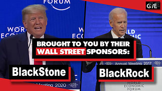 How Wall Street Buys U.S. Elections - BlackStone Funds Donald Trump, BlackRock Backs Joe Biden