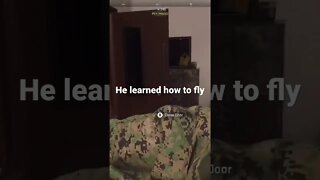 MW2 Fly Hack