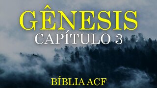 GÊNESIS - CAPÍTULO 3 (BÍBLIA ACF) | BÍBLIA NARRADA