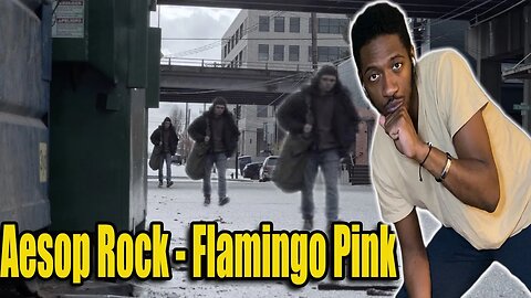 I"M PERPLEXED | Aesop Rock x Blockhead - Flamingo Pink (Music Video) | Reaction