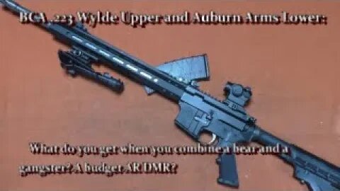 BCA .223 Wylde Upper and Auburn Arms Lower: What do you get when you combine a bear and a gangster?