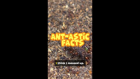 Ant-tastic Facts!🐜