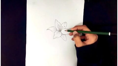 How To Draw Flowers Easy