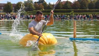 Homem utiliza uma abóbora como canoa!