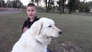 Texas boys " Life as a Farmdog"