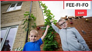 Schoolboy has grown a beanstalk to a massive 15FT