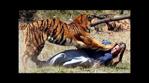 Wild Animals Attack on Human 2021