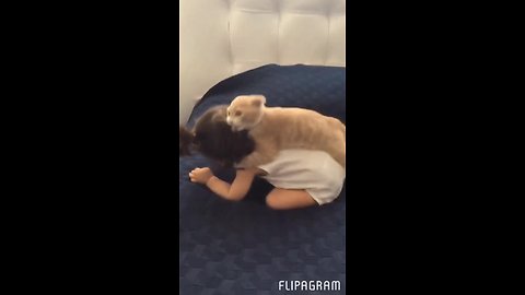 Kitten loves to play with baby girl