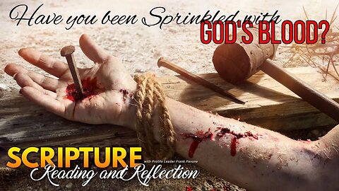 Daily Scripture Reading and Reflection - Have You Been Sprinkled With Gods Blood? July 29, 2023