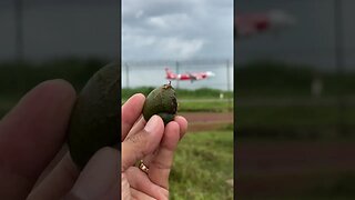 Snail vs Plane🤣