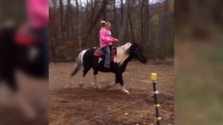 Woman Rides A Beautiful Horse Outdoors
