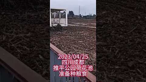 Lotus Pond in Park Filled up to Make Way for Crops