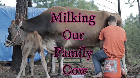 Farm Kids Provide Milk For The Family/ How to Milk a Cow/ How to make Butter in 2 Minutes!!!