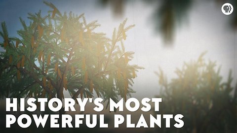 History's Most Powerful Plants