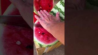 Can’t Get ENOUGH! 🍉👀 #shorts #trending #viral #tiktok #garden