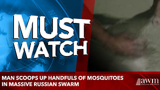Man scoops up handfuls of mosquitoes in massive Russian swarm