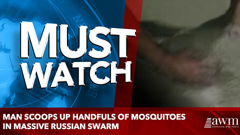 Man scoops up handfuls of mosquitoes in massive Russian swarm