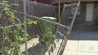 Woman says Baltimore City sanitation truck demolished her fence