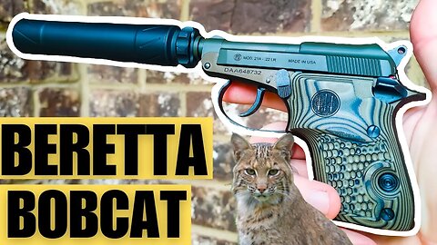 Beretta Bobcat - Model 21 A Kale Slushy