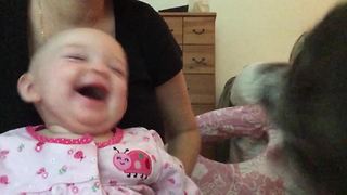 "Baby Girl Laughing at Dog Barking"