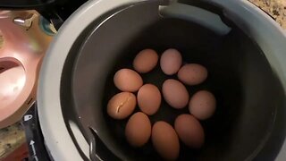 Fastest And Easiest Way To Make Hard Boiled Eggs