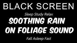 Relaxing RAIN on FOLIAGE: Tranquil Nature Sounds for Sleep, Relaxation, and Focus ☔🌿🌙