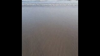 PRAIA SOM DO MAR AREIA PRAIA DE MONGAGUA SP AGUA SALGADA 20 01 2023 CREATIVE COMMONS H #shorts