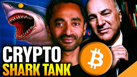 Crypto WHALESHARKS - TradFi Venture Capital In Crypto