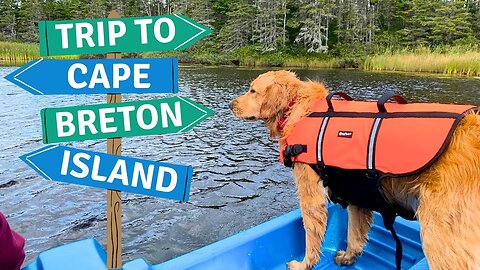 Our Golden Retriever's First Road Trip - Cape Breton Island Canada
