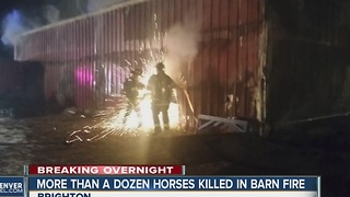16 horses killed in barn fire on Powhaton Road in Brighton