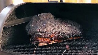 Bone-In Brisket with Special Guest: Baby Back Maniac!!!!