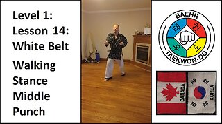 Baehr Taekwondo: 01-14: White Belt: Walking Stance - Middle Punch