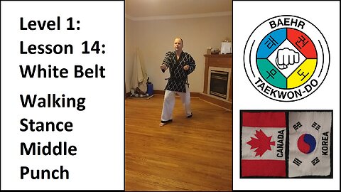 Baehr Taekwondo: 01-14: White Belt: Walking Stance - Middle Punch