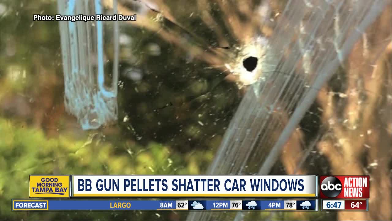 Several Palm Harbor neighbors claim car windows were shattered by BB gun