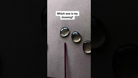 Fun Test: Which is Real? Vol 1. #viral #fun