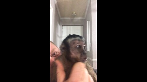 Monkey gets excited and makes cutest noises